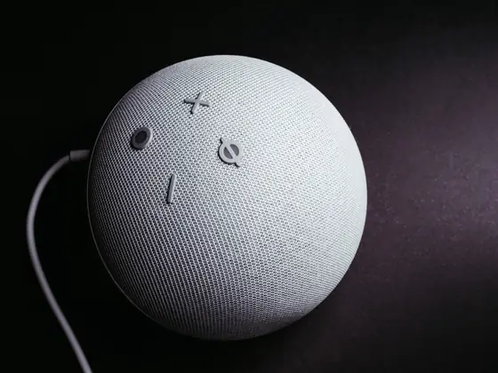 Speaker